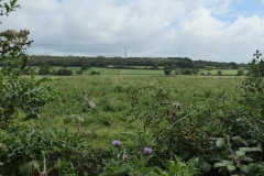 Storeton hill from the west.